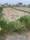 Land for Sale in Manigram