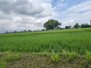 Land For Sale Madigarm 4 Number Mahubari