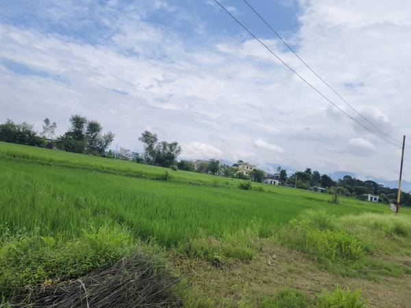 Land for sale madigarm 4 number mahubari