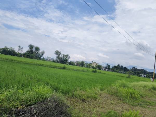 Land for sale madigarm 4 number mahubari