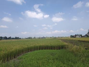 Land For Sale At Bhalwari Pauni