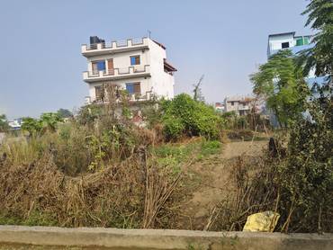 Land For Sale At Dinganagar Janjyoti Scl Paxadi