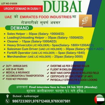 Urgent Demand For Dubai 9867233651