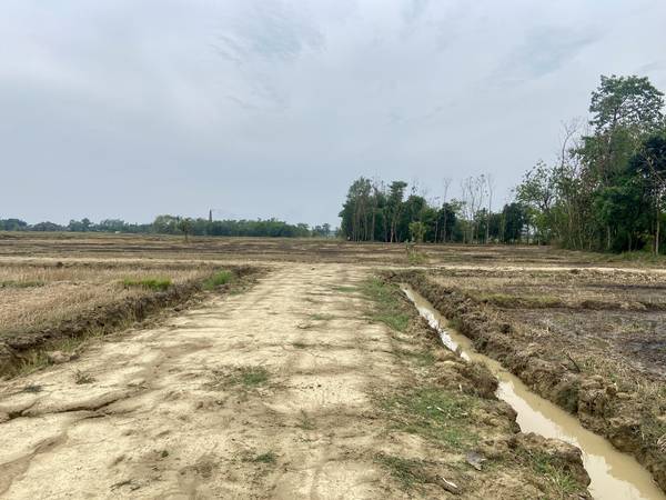 10 Kattha Land for Sale in Devdaha-1 Pragatinagar Near Shankarpur Bazaar