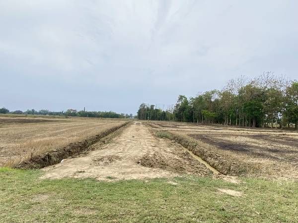 10 Kattha Land for Sale in Devdaha-1 Pragatinagar Near Shankarpur Bazaar