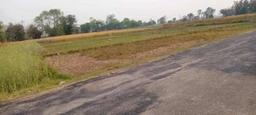 Prime Land For Sale In Siyari-3 Rupandehi Near Bellbas–Bethari Highway