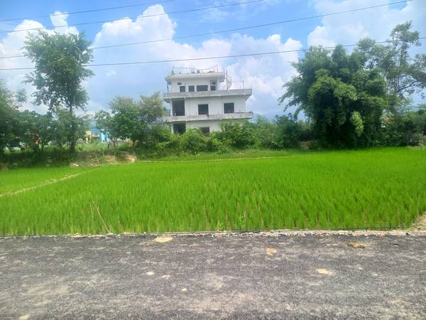 Land sale near chaparhatti tilottama near siddhartha chowk