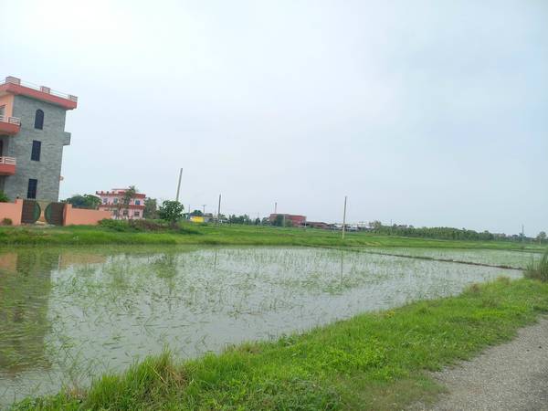 10 Dhur land sale at shakuwani near tilottama housing