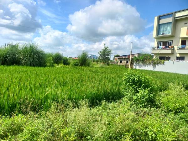 11 dhur land sale Bagartole Raniganj Butwal