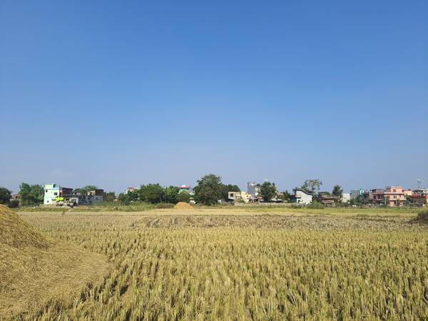 Land sale at bhalwari