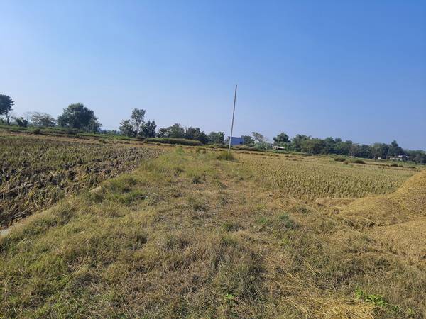 Land sale at bhalwari