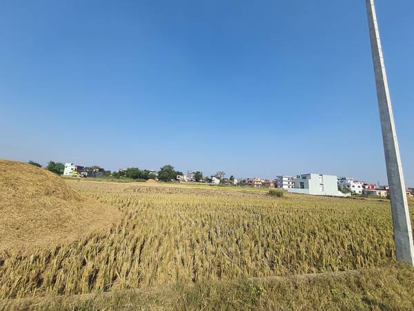 Land sale at bhalwari