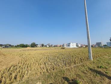 Land Sale At Bhalwari