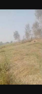 Land For Sale In Devdaha Khairani – 3.5 Kattha With Road Access