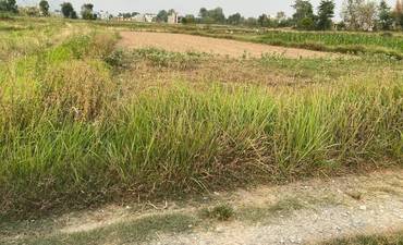 Land For Sale At Butwal Belbhariya