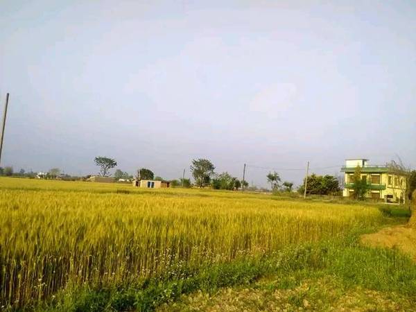 Land On sale at Tilottama Semara Bishnupura
