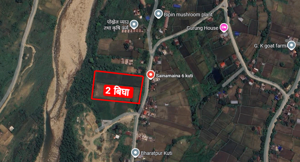 2 Bigha Land for Sale in Sainamaina-6 | Plotting & Commercial Use 3km north of Mahendra Highway