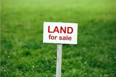 Land On Sale At Tilottama Purwa Pahuni