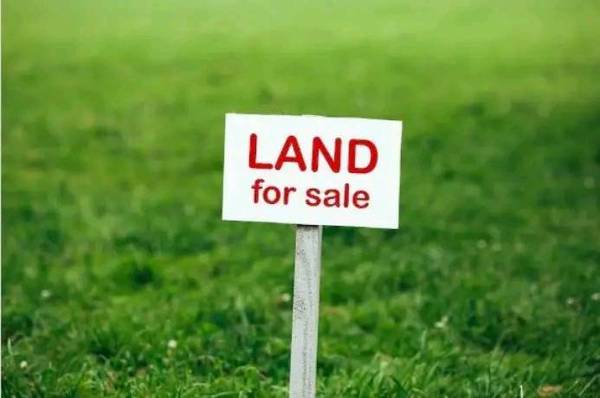 Land on Sale at Tilottama Purwa Pahuni