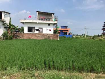 Land On Sale At Siddharthanagar Bhairahawa Padsari