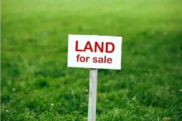Land on Sale at Tilottama Near Namaste Academy
