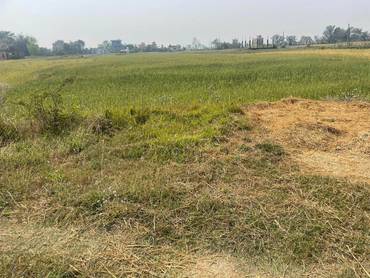 8 Kattha Land On Sale At Tilottama Paschim Pahune