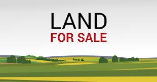 Land on sale at sainamaina