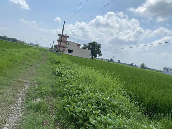 Attractive 10 Dhur Land on Sale at Tilottama Sakhwani