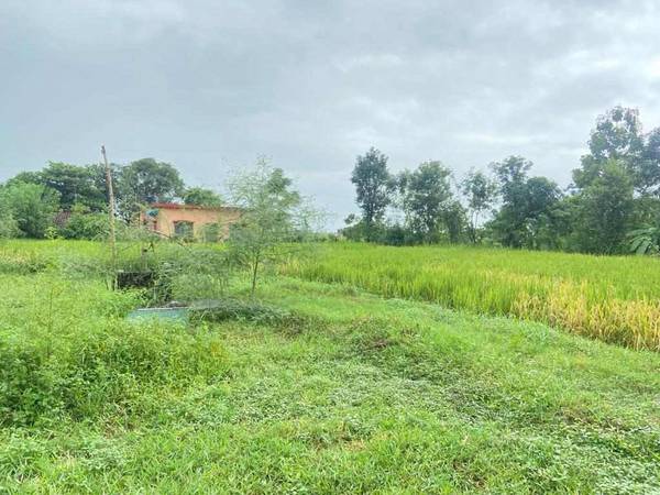 5 Kattha Land on Sale at Tilottama Shivapur Beldada