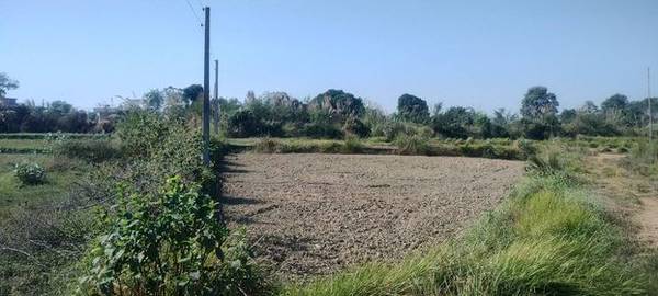 Land on Sale at Tilottama Ganeshpur.
