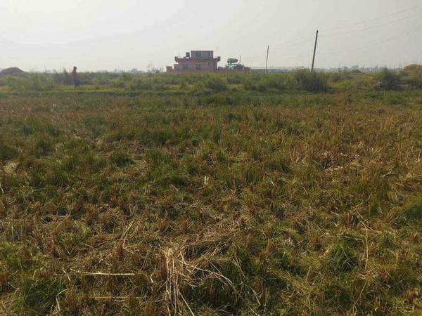 10 Dhur Land on Sale at Tilottama  Semara