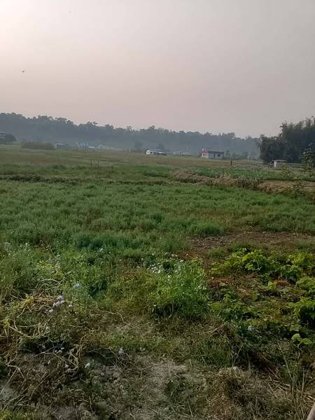4 Kattha Land for Sale – Sainamaina-11, Near Saljhandi Chowk
