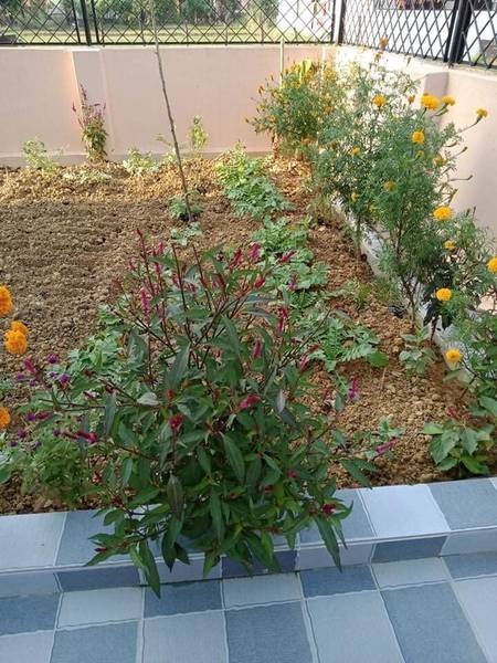 घर बिक्रिमा