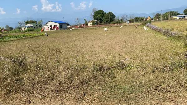 2 Kattha Land for Sale in Bharatpur-18, Sashinagar