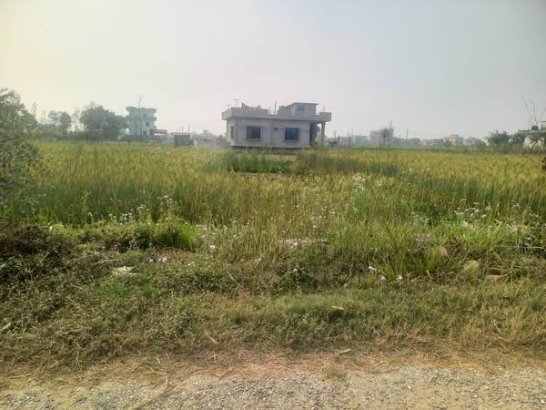 20/40 Haat east faced land sale at manigram coffee company 1.5 km east from siddharth highway