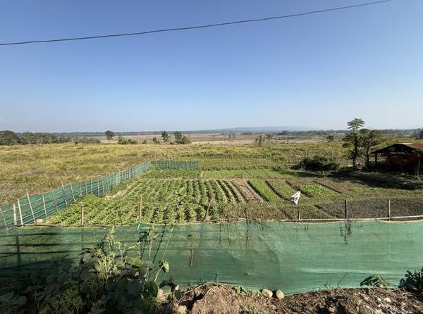 जग्गा बिग्रिमा