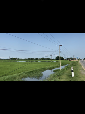 Land For Sale Near Lumbini