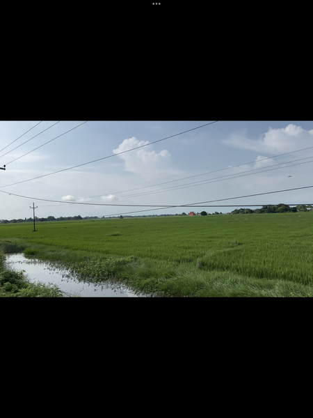 Land for sale near Lumbini