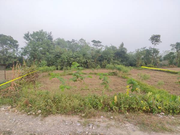 Attractive  9 kattha 12 Dhur  Land on  Sale at Butwal Semlar