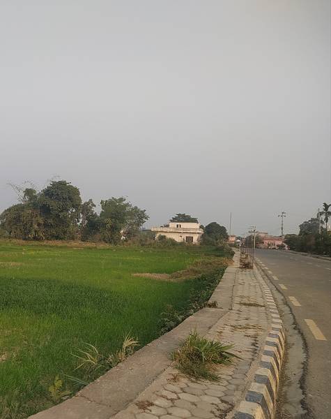 Attractive Land on Sale at Tilottama Shankarpur