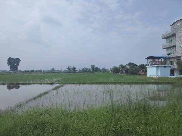 Land for sale at bhalwari 1.5 km from highway near puranosadak