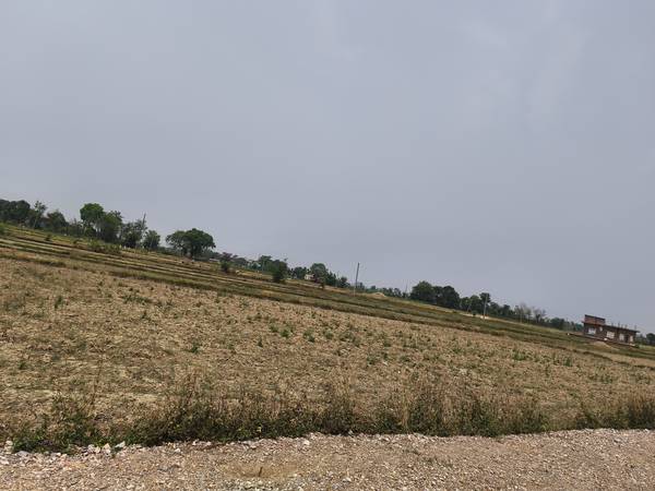 Land for sale at bhalwari near pauni school