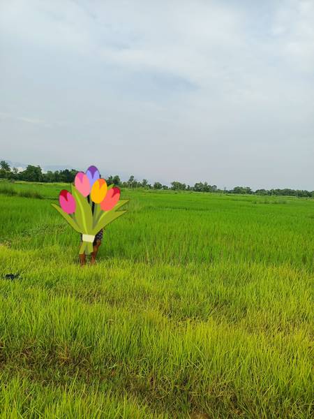Residental land for sale