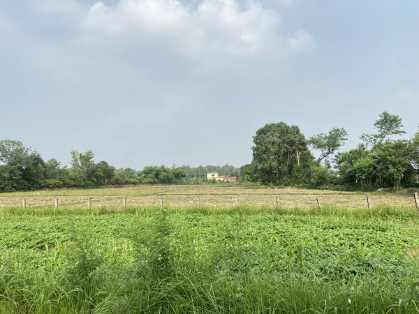 Land for sale near Pragatichowk Tilottama
