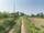 Land for Sale in Tilottama – Adarshpath (Near Mangalapur Highway)
