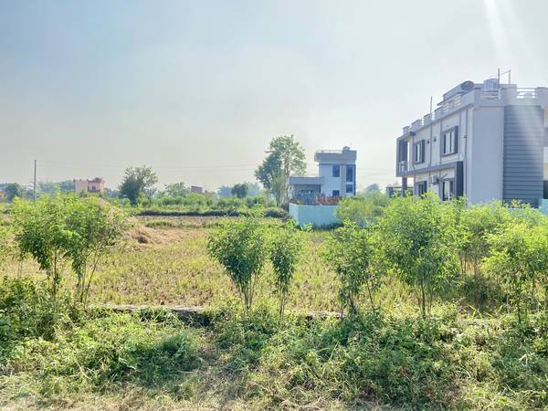 Land for Sale in Tilottama – Adarshpath (Near Mangalapur Highway)