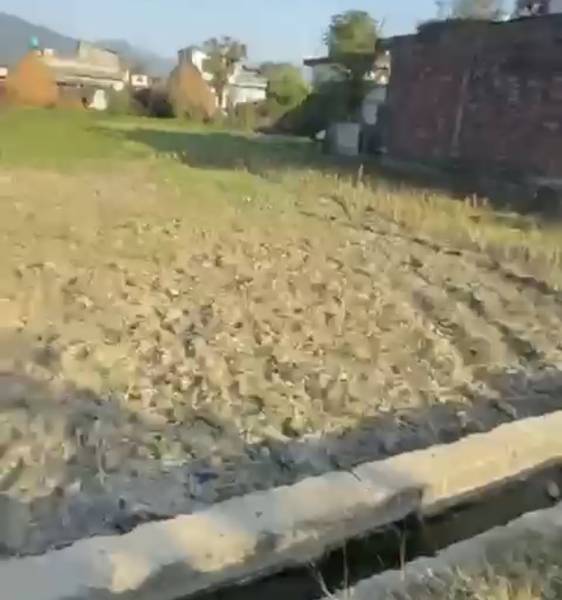 बर्दघाट–चिसापानीमा 2 कट्ठा आकर्षक घडेरी बिक्रिमा | Best Land for Sale