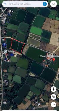 Prime Land For Sale At Siyari, Chhapiya