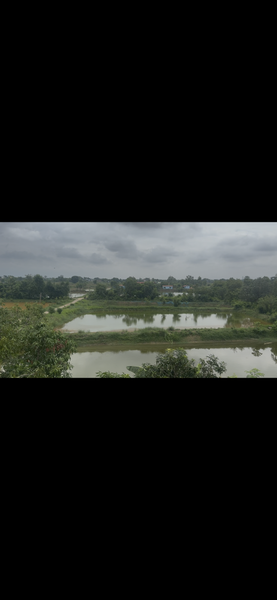 Prime Land for Sale at Siyari, Chhapiya