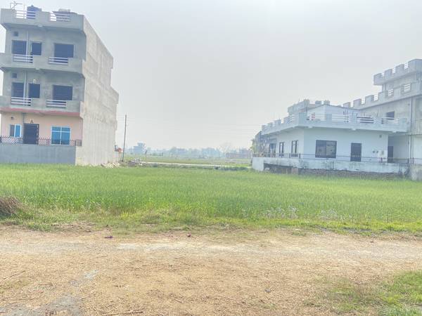 9.25 Dhur Land for Sale in Mangalapur – 20 Ft North-Facing Road | 500m East from Highway | Rs. 35 Lakhs